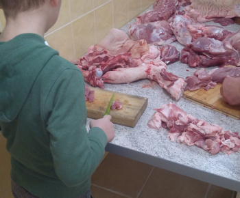 Zabiíačka 13-01-2018