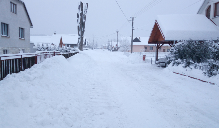 3. fotografia fotogalérie NOVOROČNÁ RUSÍNSKA ZABÍJAČKA 2017